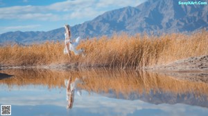 A woman in a white dress standing by a body of water.